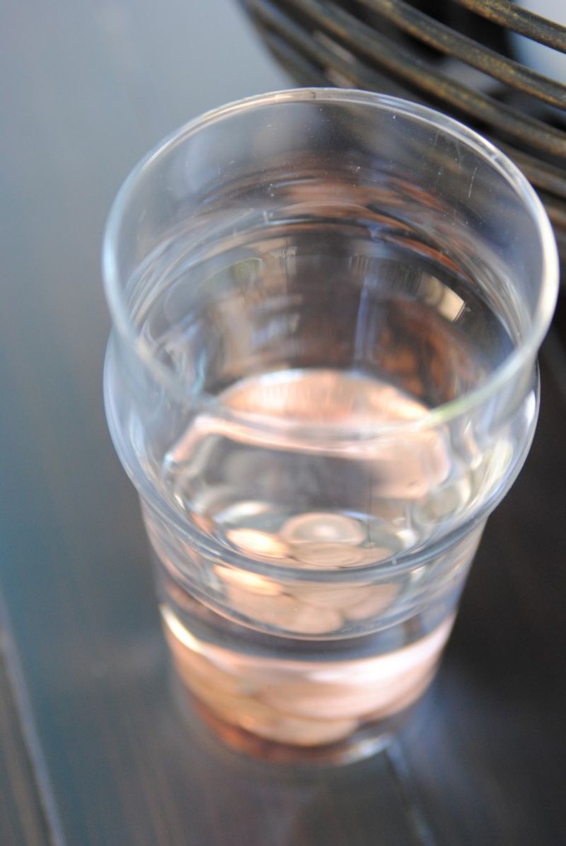 12. Create Copper Penny Water Traps