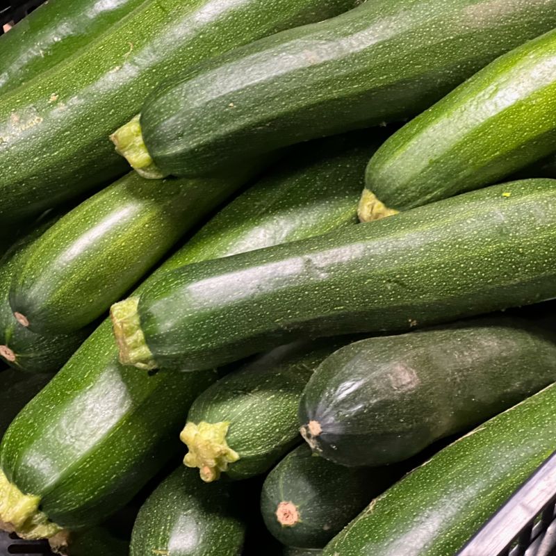 Black Beauty Zucchini