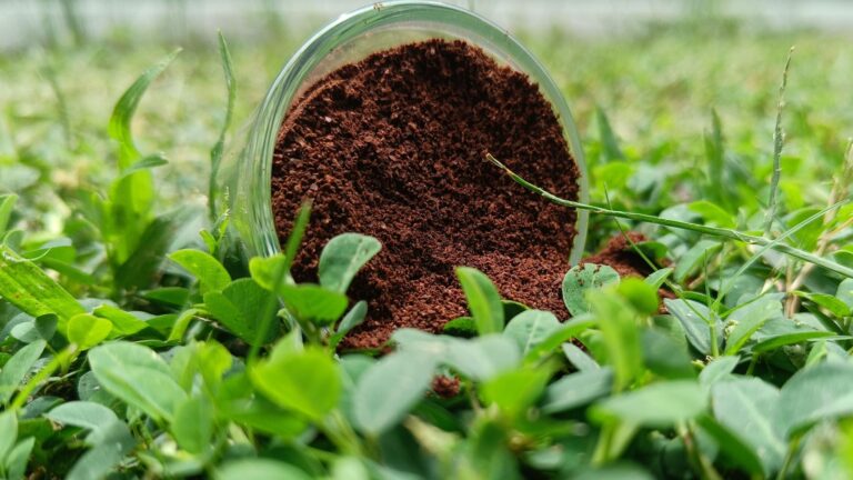 coffee grounds in garden