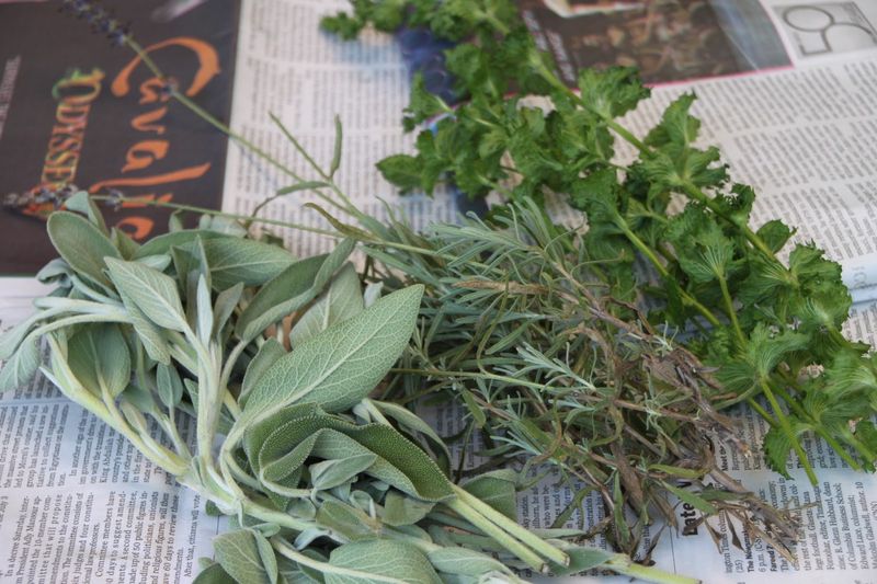 13. Hang Aromatic Herb Bundles