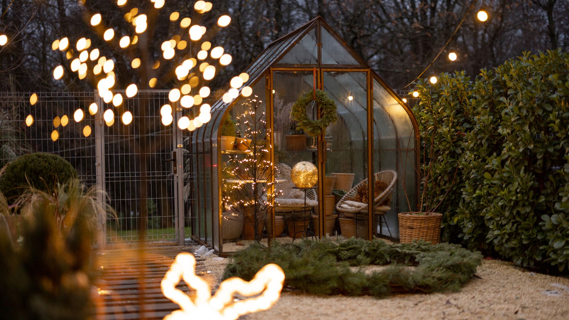 backyard oasis