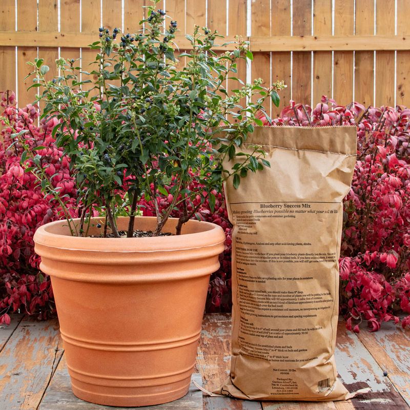 Pick The Right Container Size