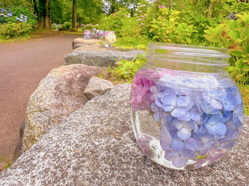Floating Flower Oasis
