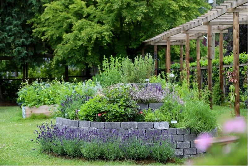 15. Build A Seasonal Herb Spiral