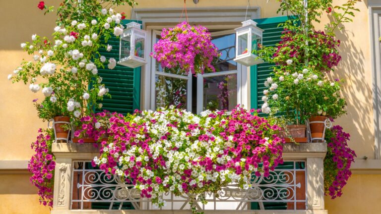 balcony flowers