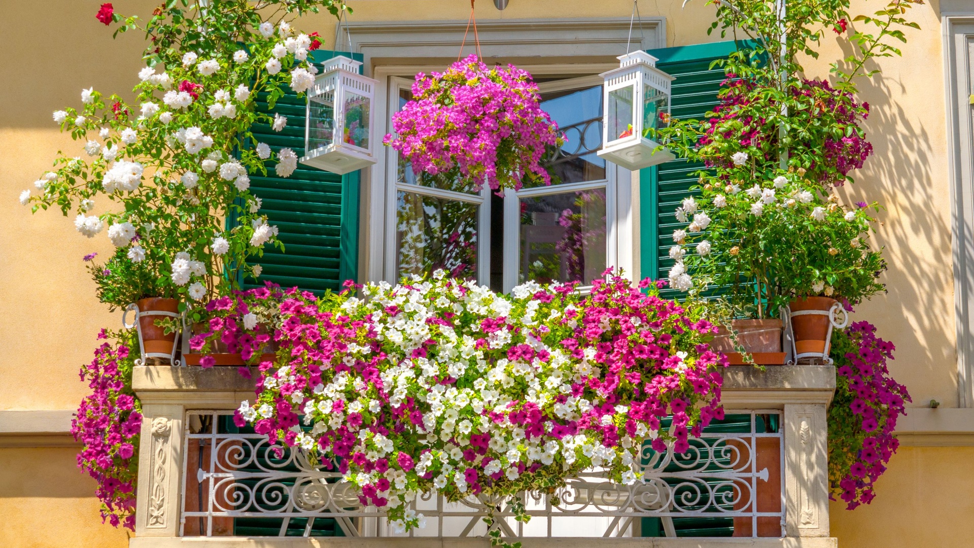 15 Balcony Plants That Turn Small Spaces Into Stunning Escapes (Plus A Few More That Bloom All Year Long)