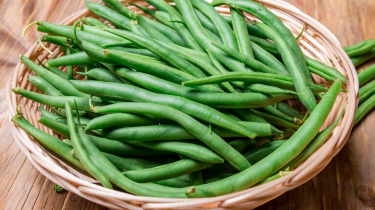 green beans
