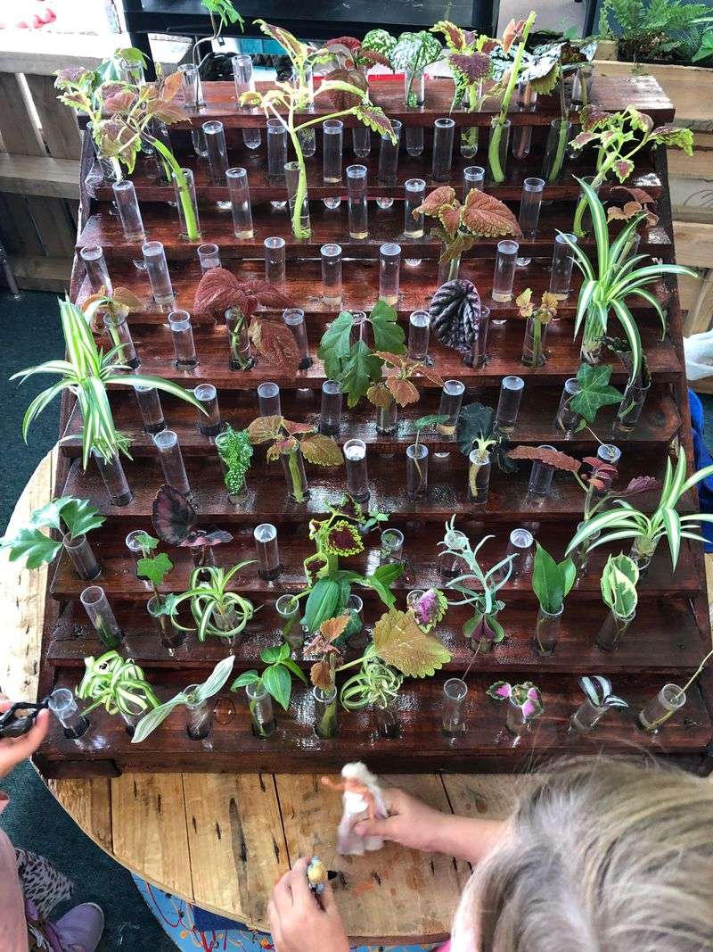 Mini Water Propagation Stations