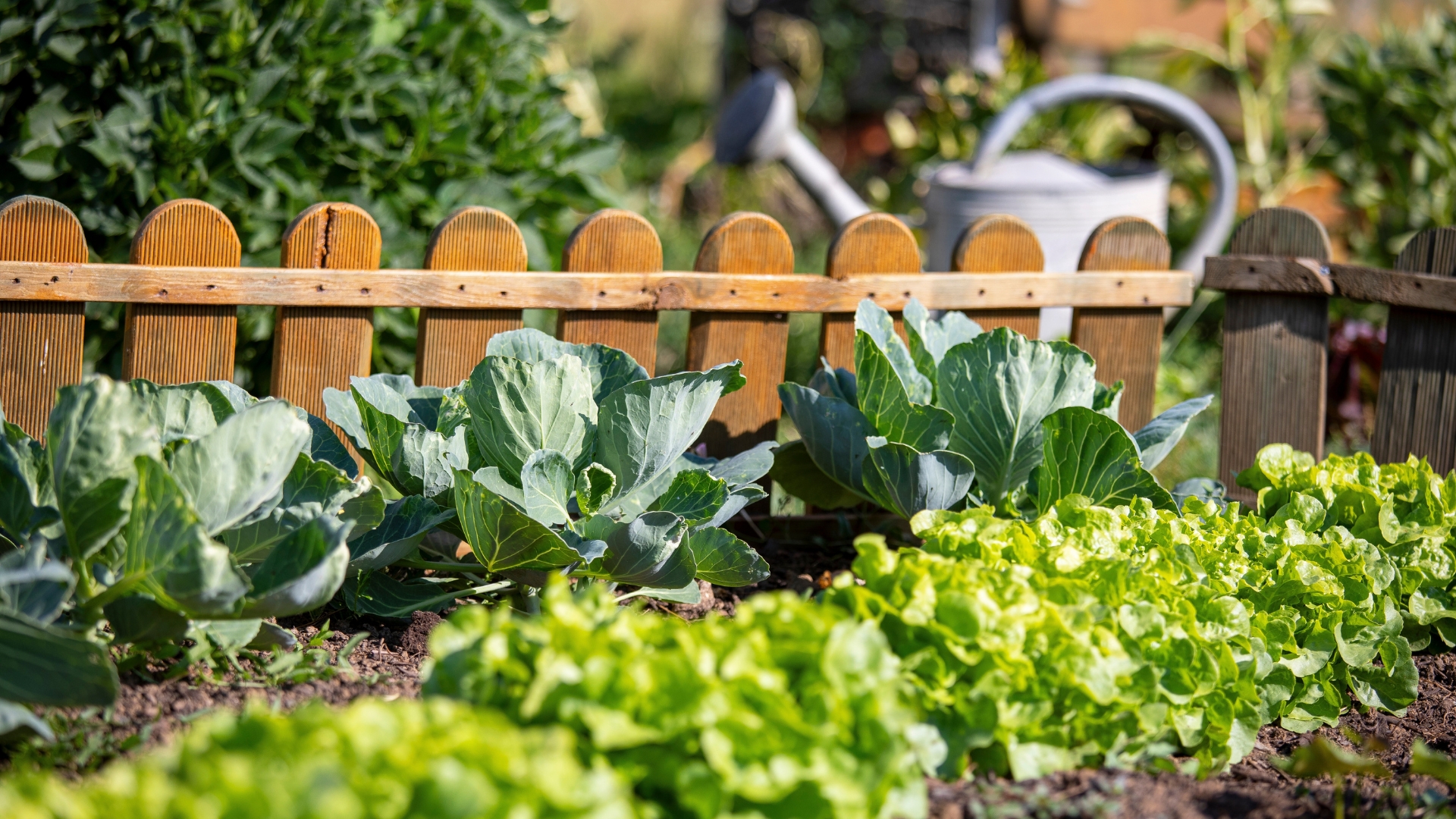 15 Essential Tips To Grow Your Own Vegetables And Be More Self-Sufficient