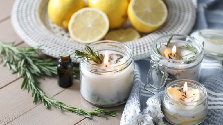 fly repelling tricks