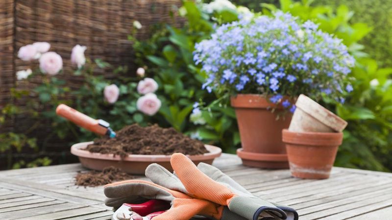 Drainage Boosters For Potted Plants