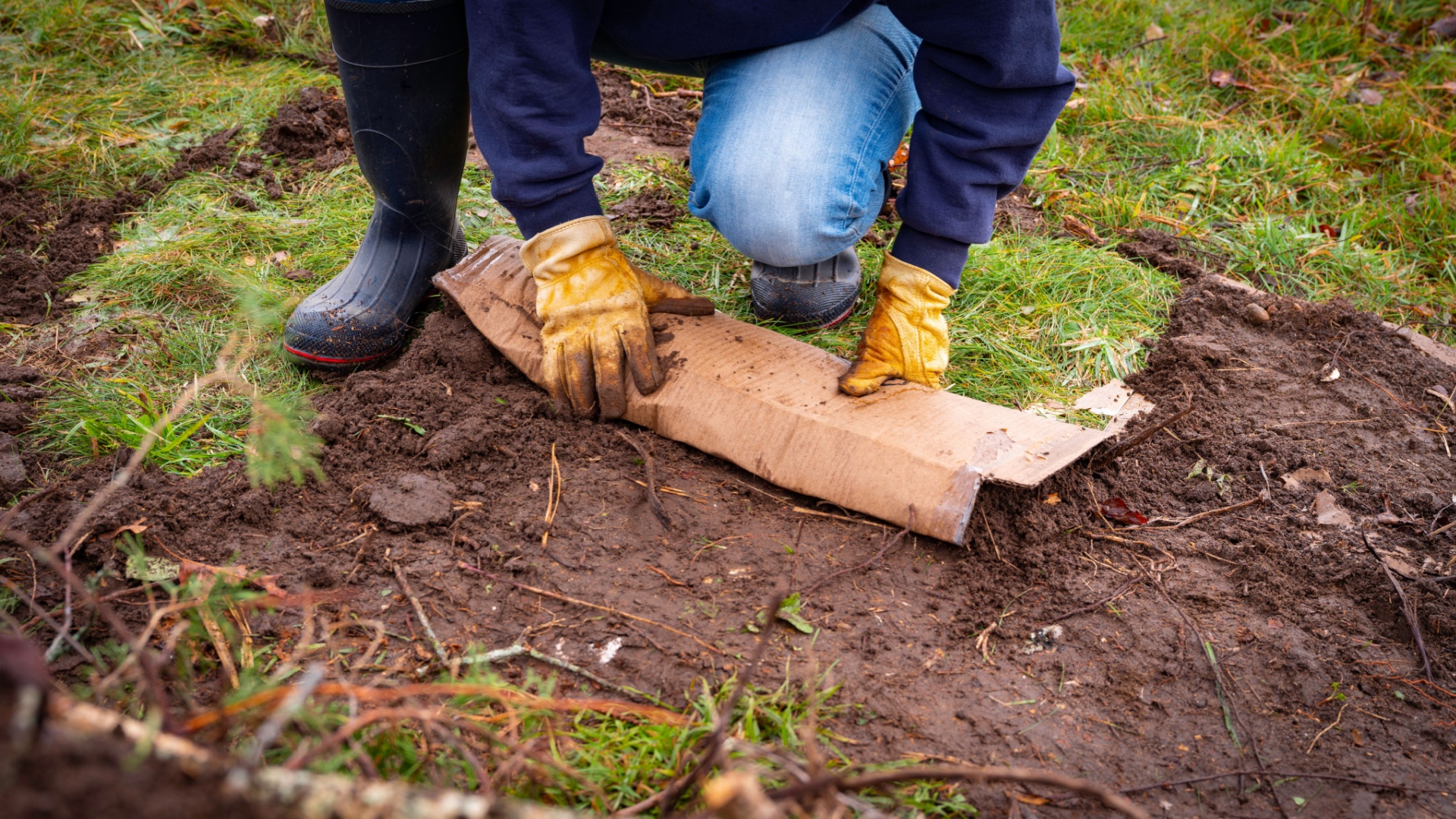 cardboard on soil