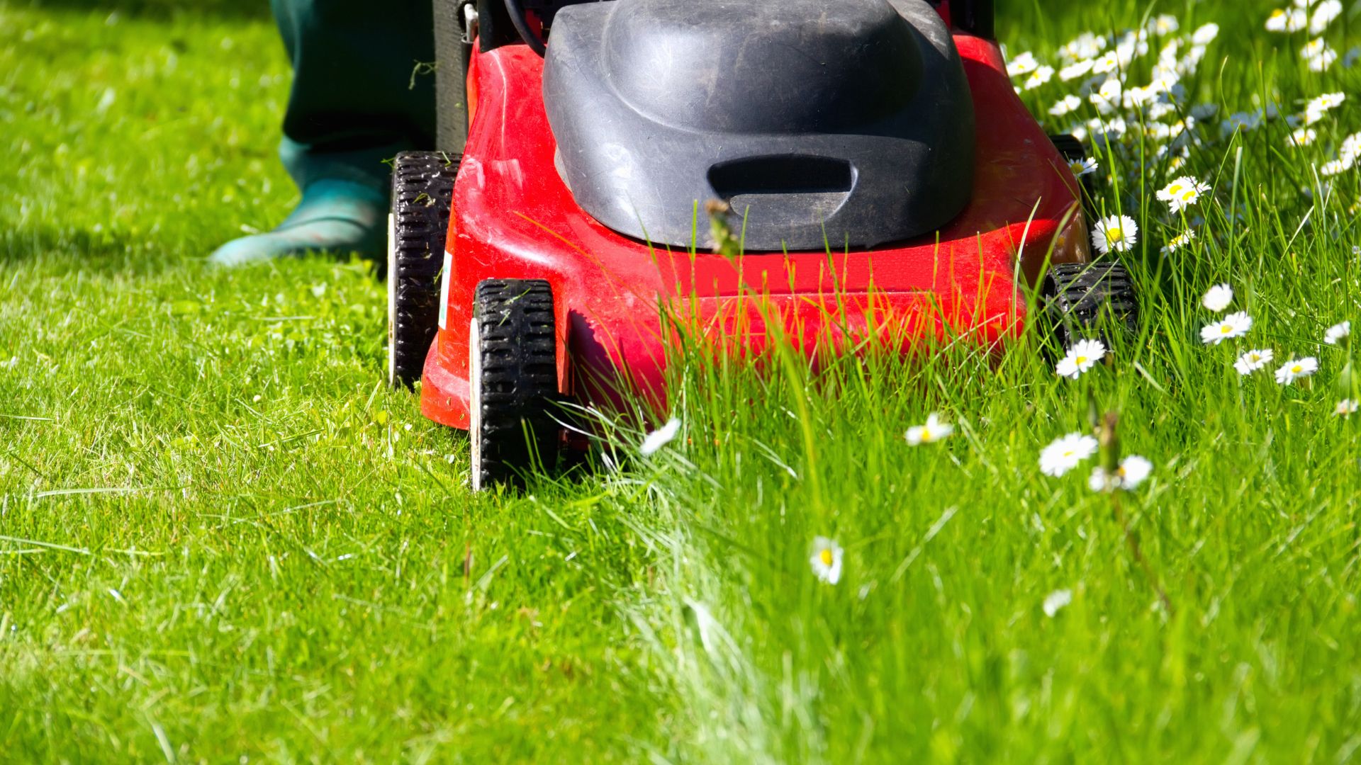 17 Lawn Mowing Etiquette Rules Everyone Should Follow (And How They Keep Neighborhoods Peaceful)