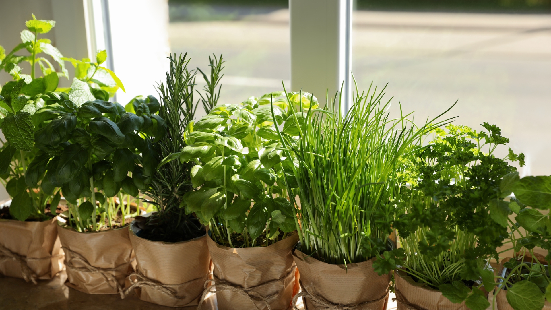 Herbs