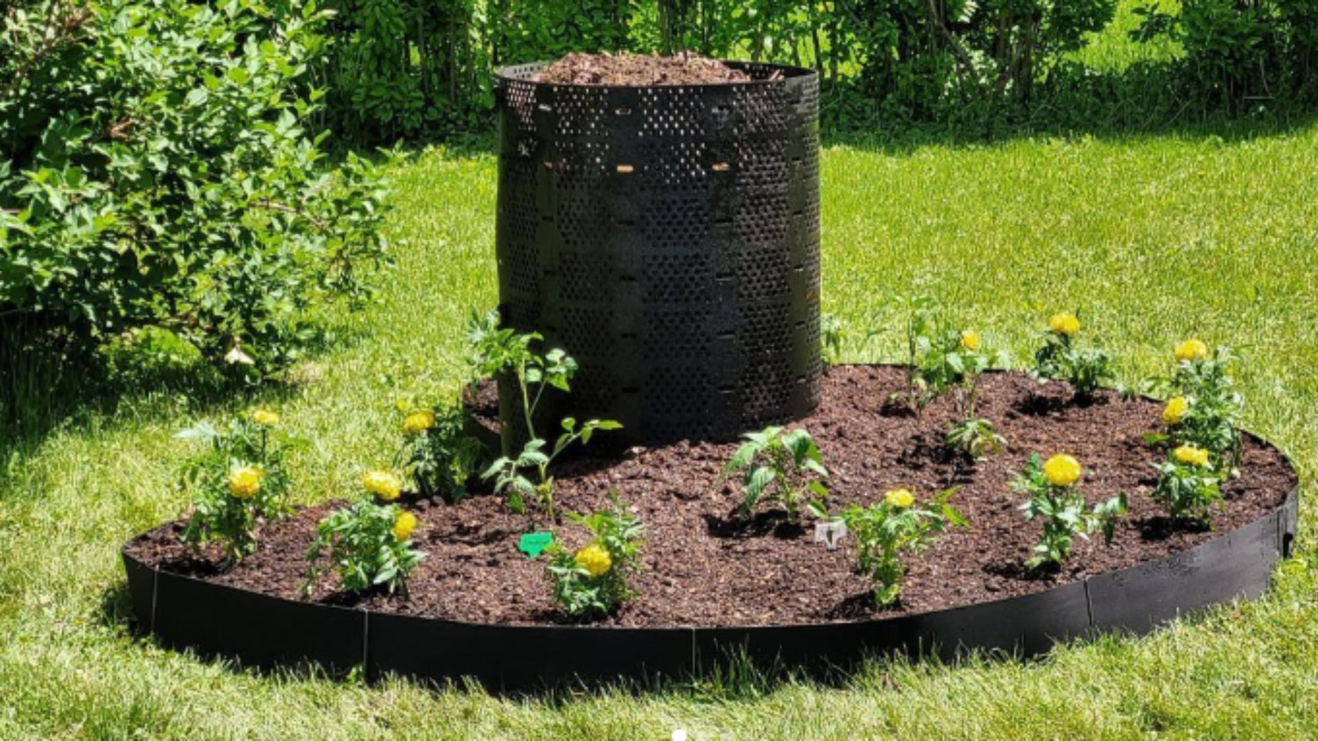 15 Reasons Keyhole Gardens Might Be A Smarter Choice Than Raised Beds