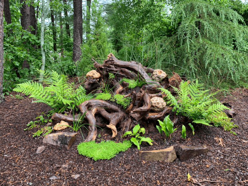 Natural Woodland Charm