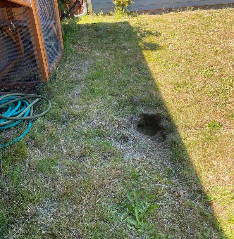 Hole Size Matters