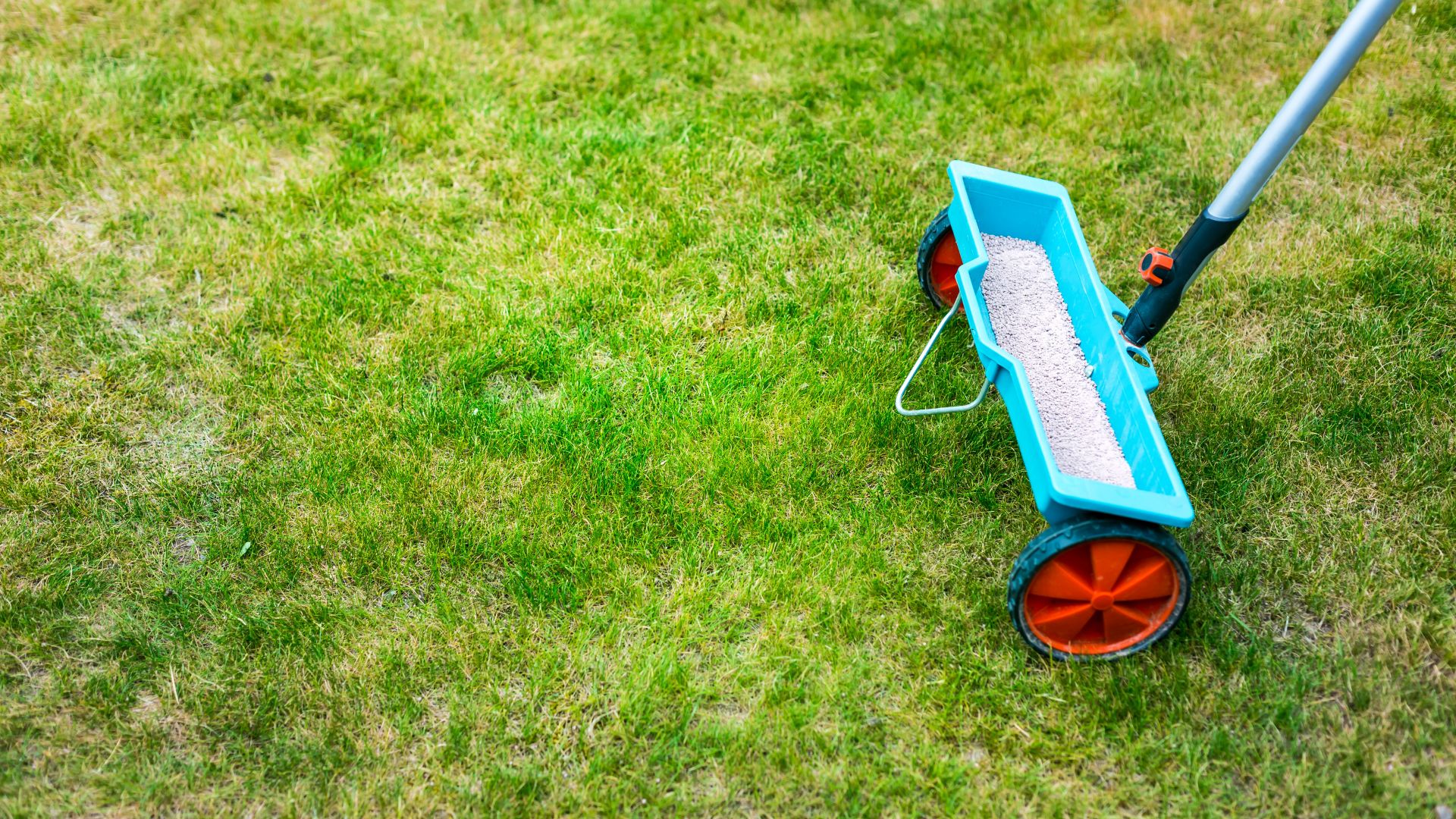 15 Smart Fertilizing Tips For California Lawns (And What You Should Always Do In A Drought)