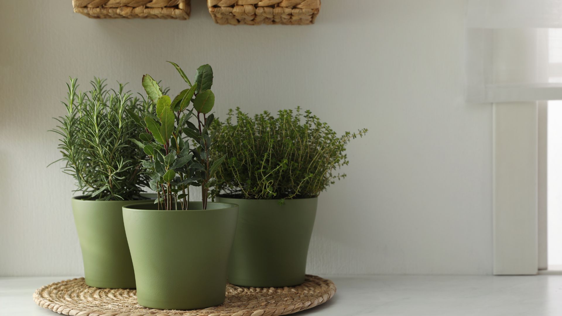 15 Steps To Build A Stylish Countertop Herb Garden (Even If You’re Short On Space)