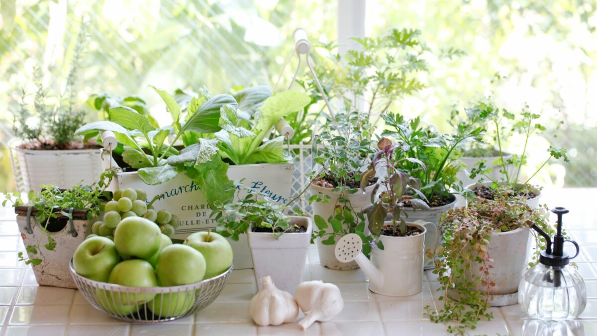 15 Steps To Grow Your Own Kitchen Garden (Even If You're Short On Space)