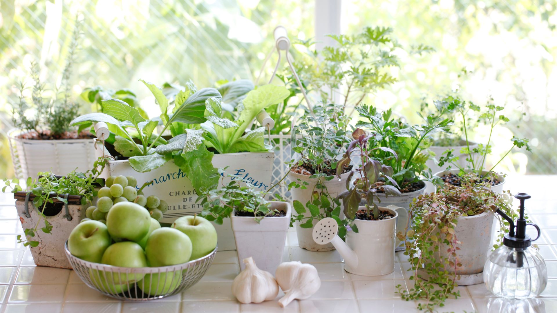 15 Steps To Grow Your Own Kitchen Garden (Even If You’re Short On Space)