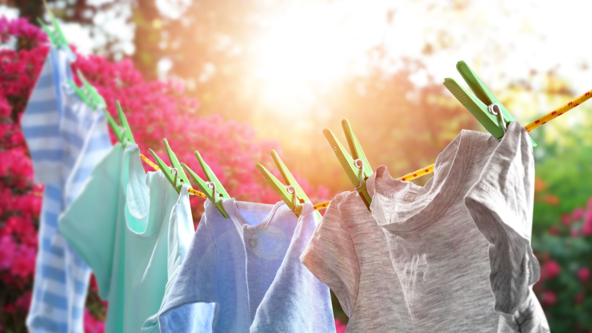 15 Surprising Things You Can’t Have In Your Yard Anymore