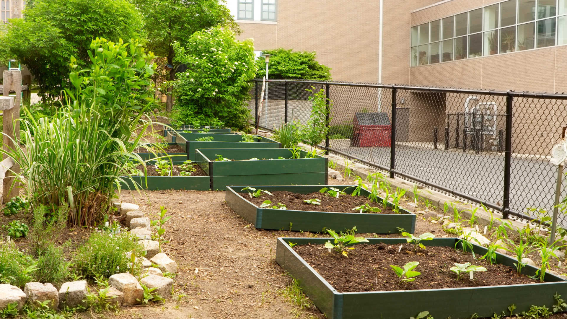 raised bed garden