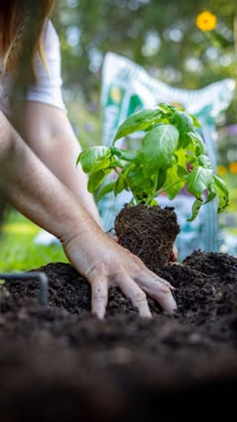Consider Your Soil Quality