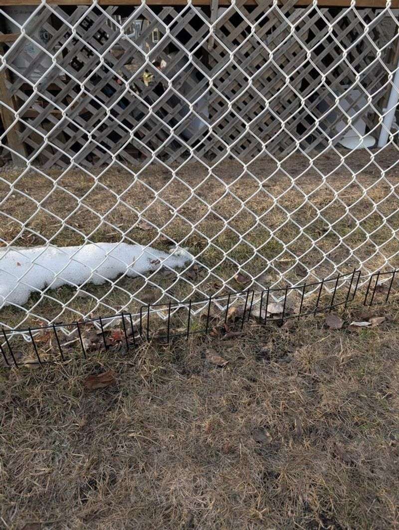 Chicken Wire Barriers