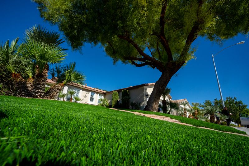 Natural Grass Lawns