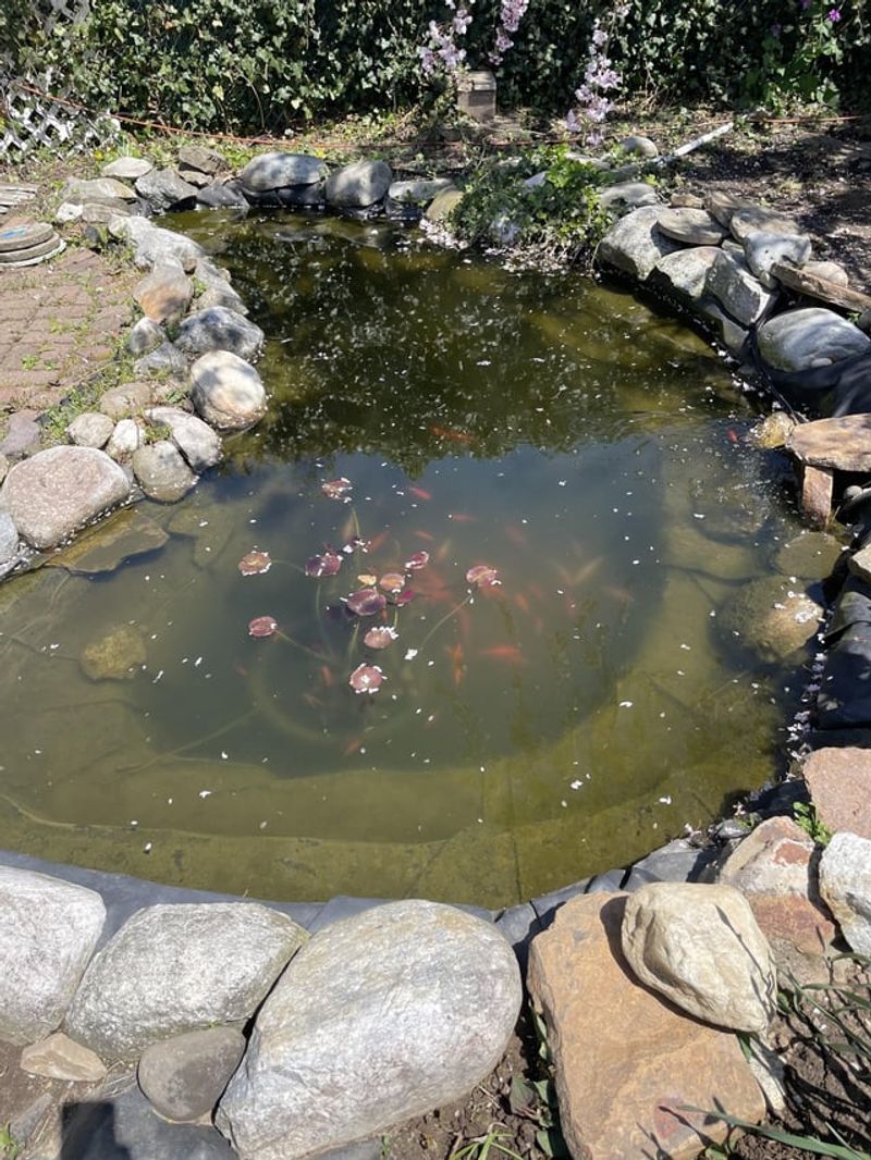 16. Living Water Quality Indicators