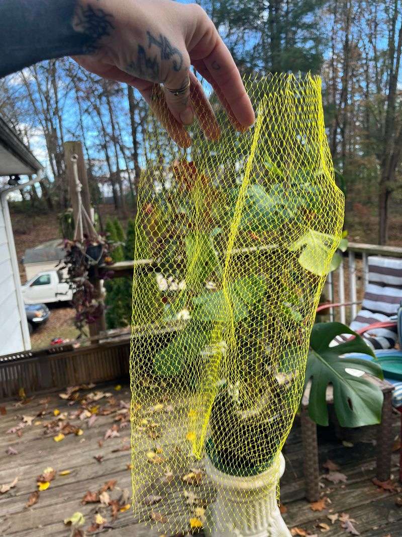 Create Seed Starting Pouches