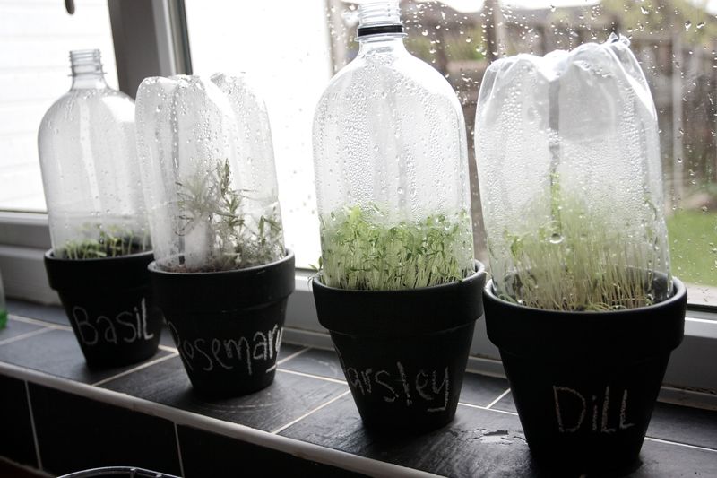 Seed Starting Humidity Domes