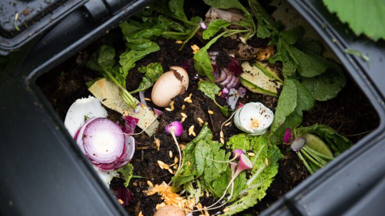compost bin filled with kitchen scraps