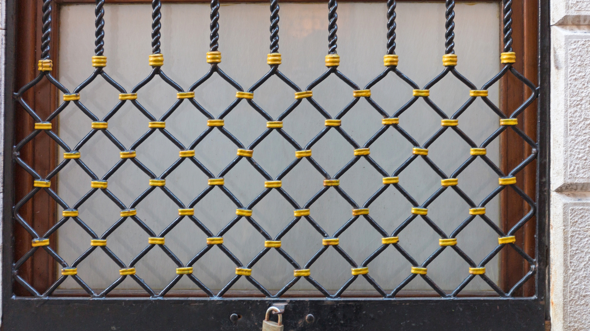 bird proof window