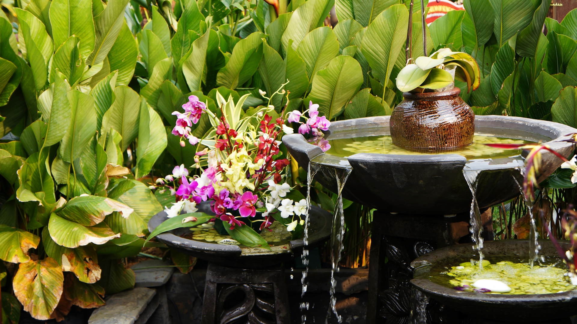 16 Essential Feng Shui Plant Ideas To Transform Your Patio Into A Peaceful Retreat