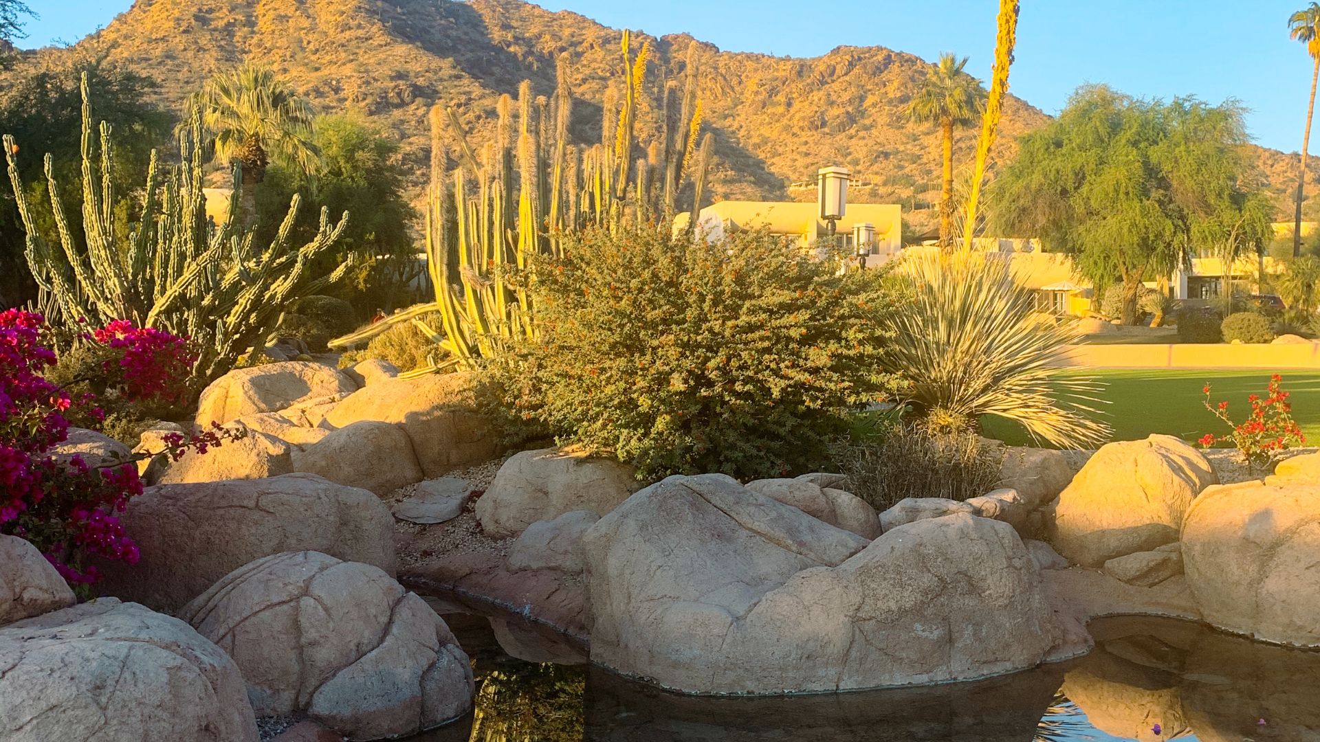 arizona garden