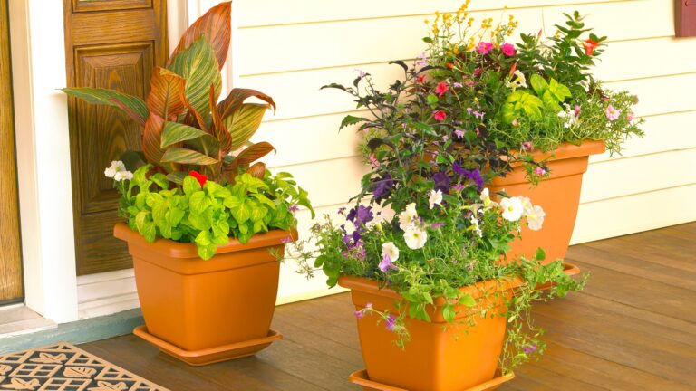 potted garden