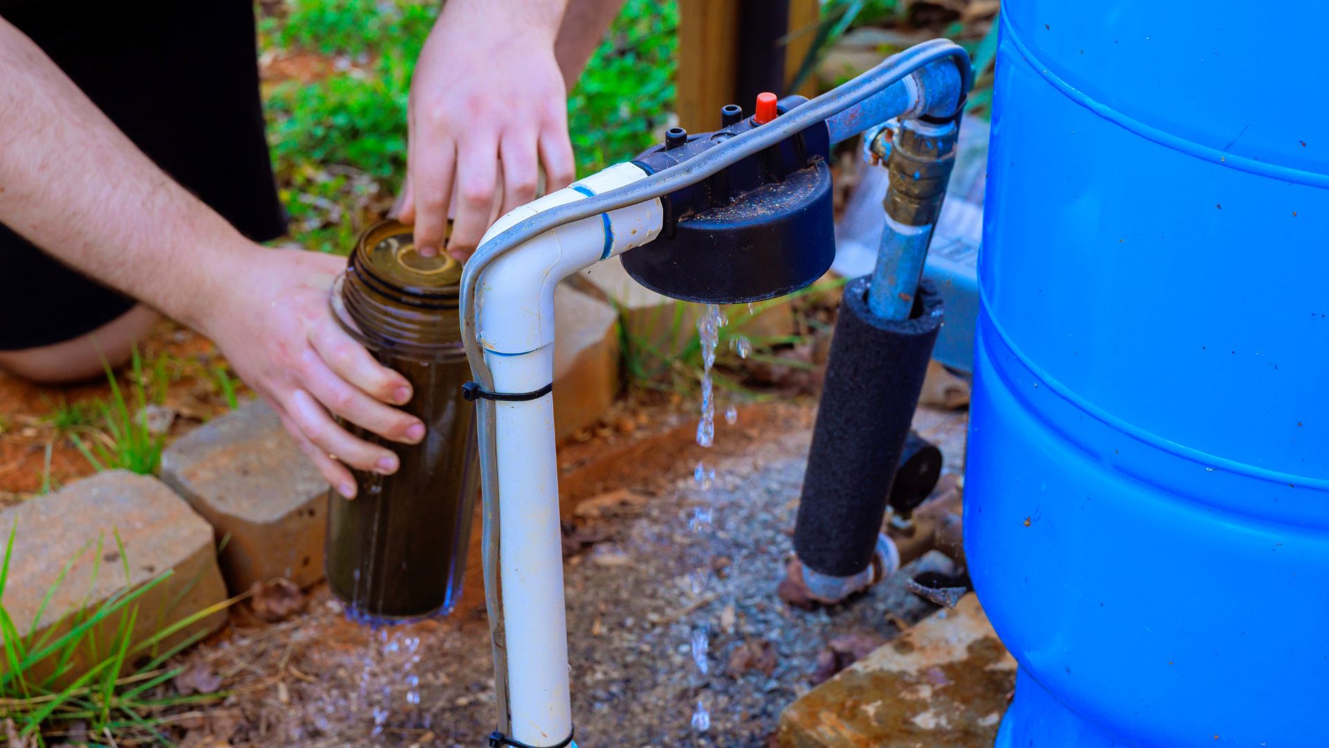 rainwater system collecting and harvesting water