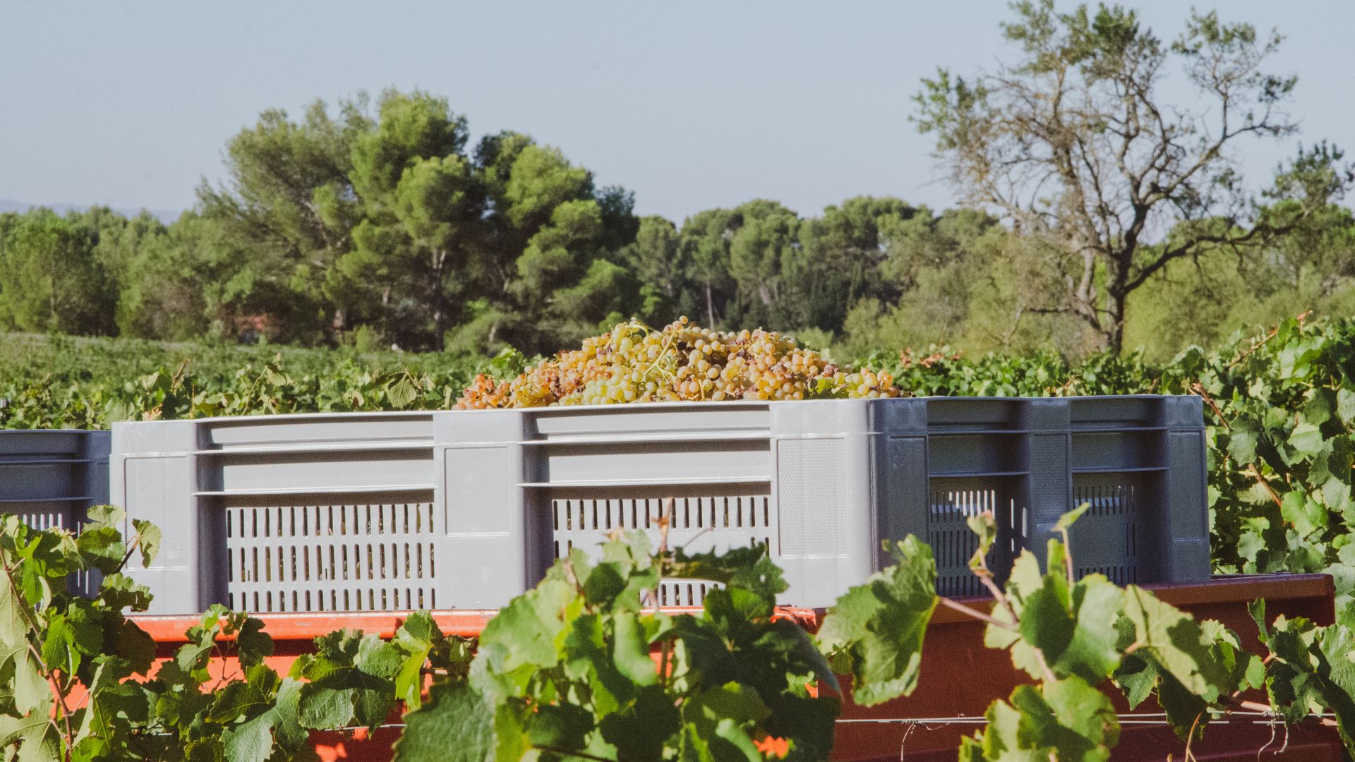 16 Smart Ways To Turn Plastic Crates Into Garden Storage (That Actually Looks Good)
