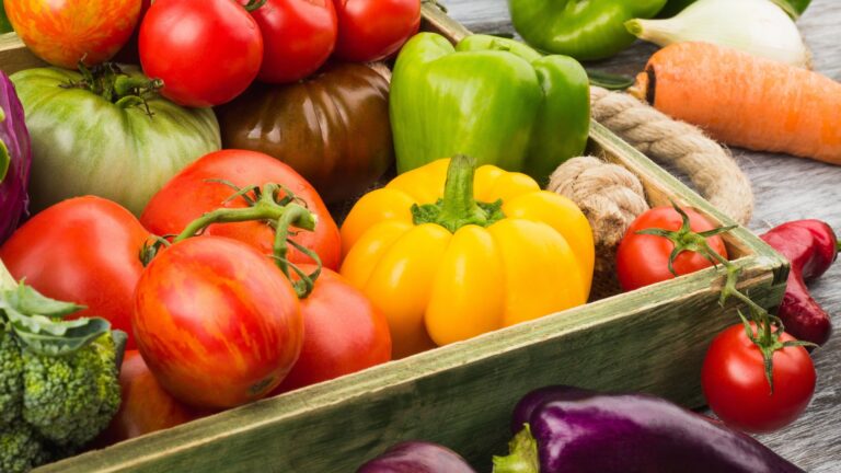 summer vegetable harvest