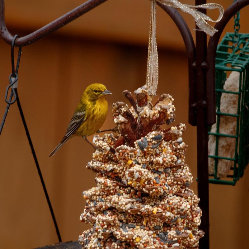Pinecone Peanut Butter Delight