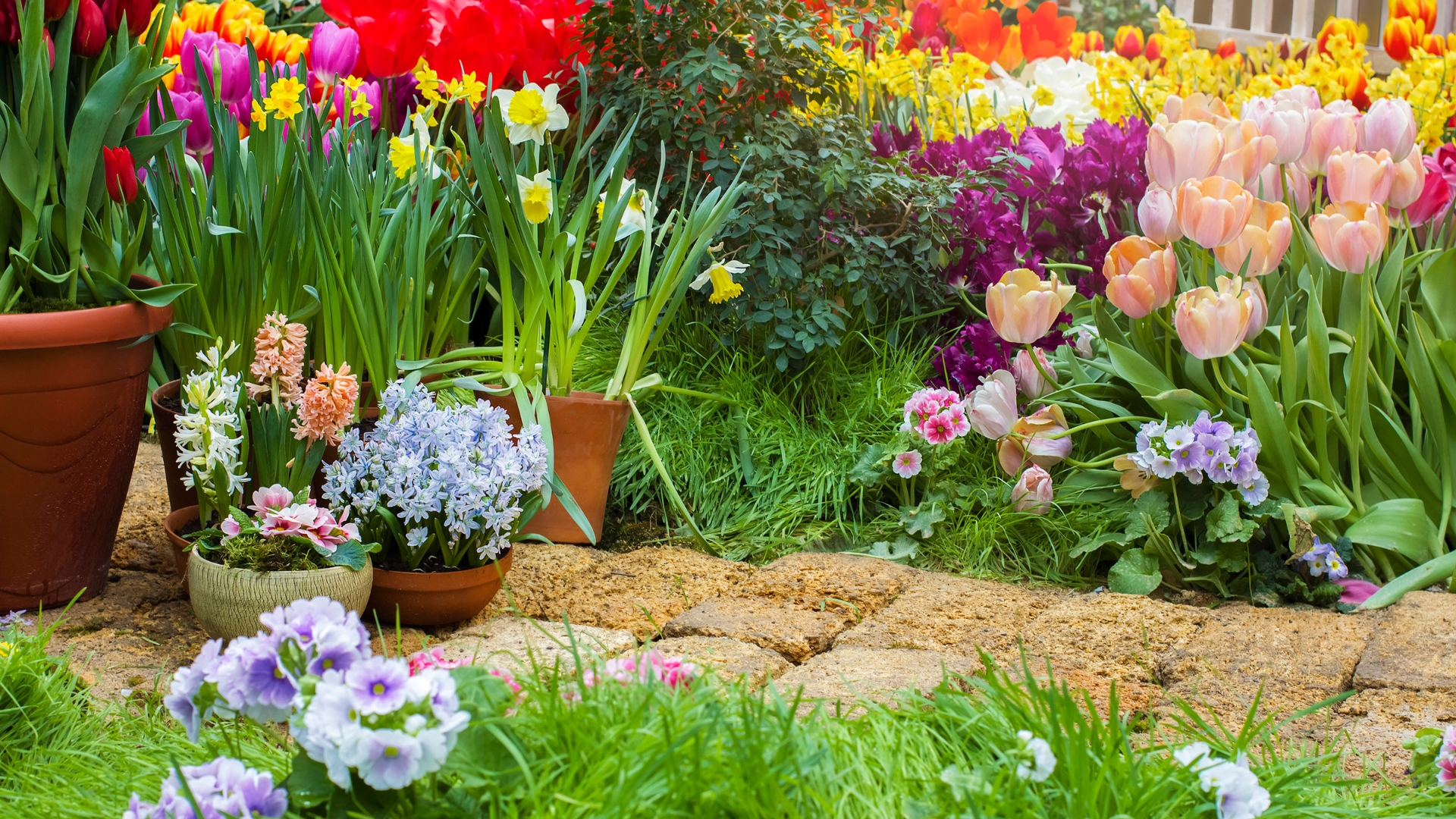 garden