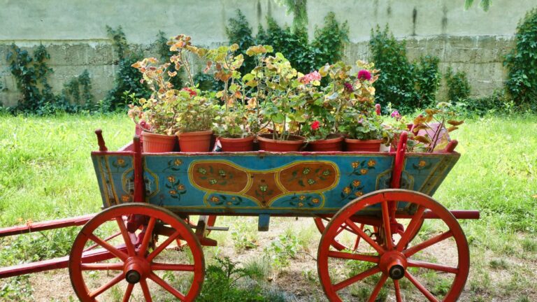 old wheelbarrow as planter