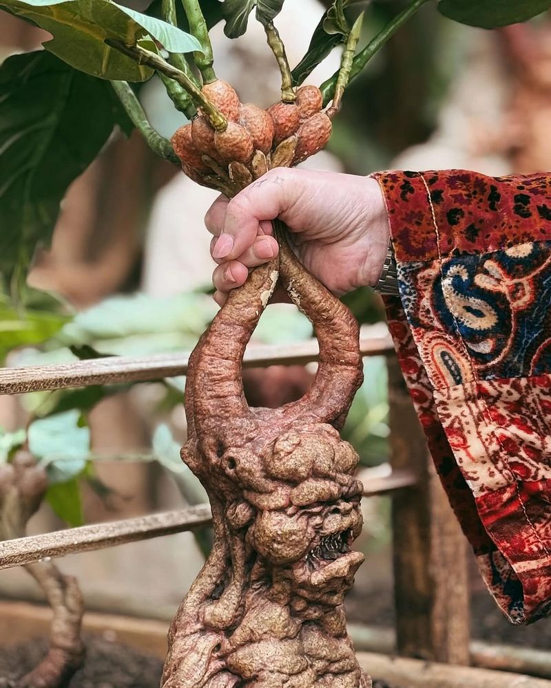Mandrake: The Screaming Root