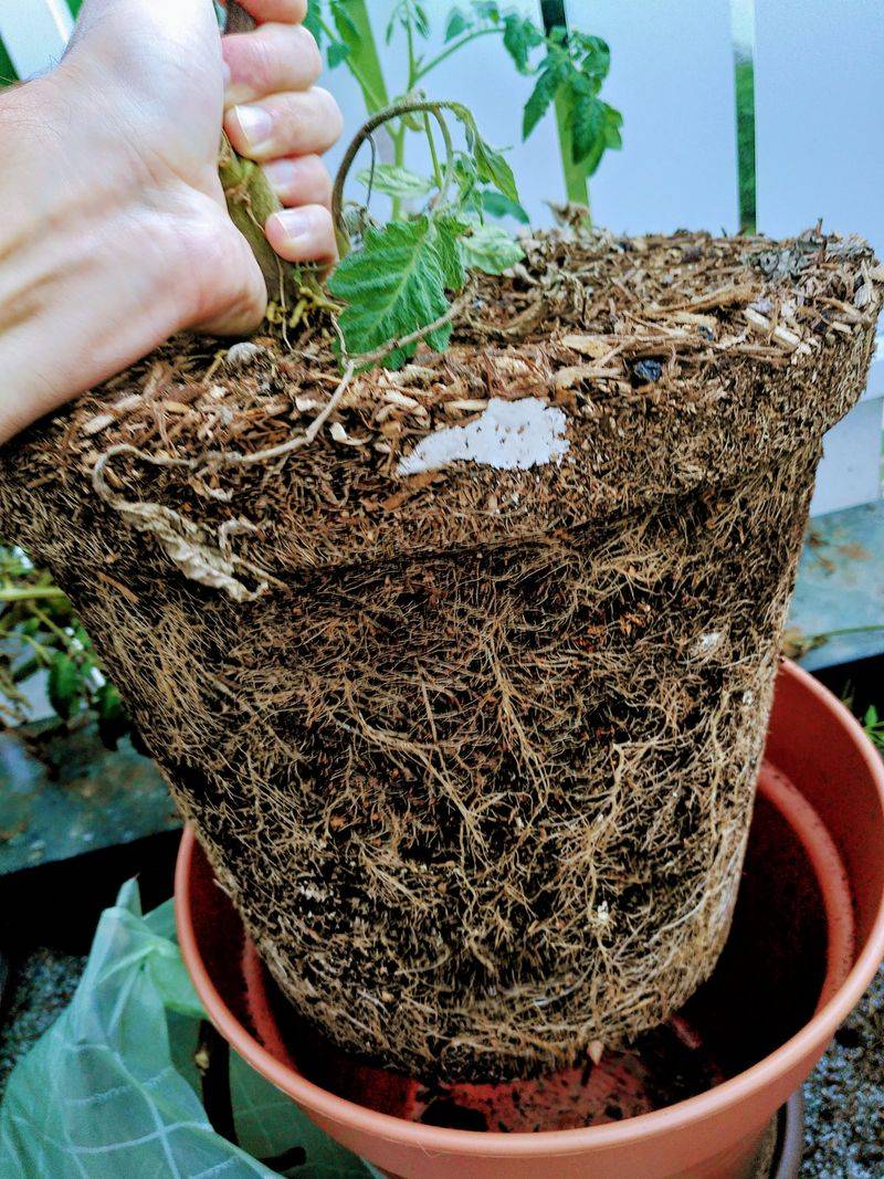 Poor Soil Fertility