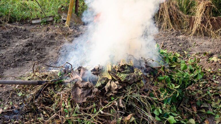 a pile of grass burning