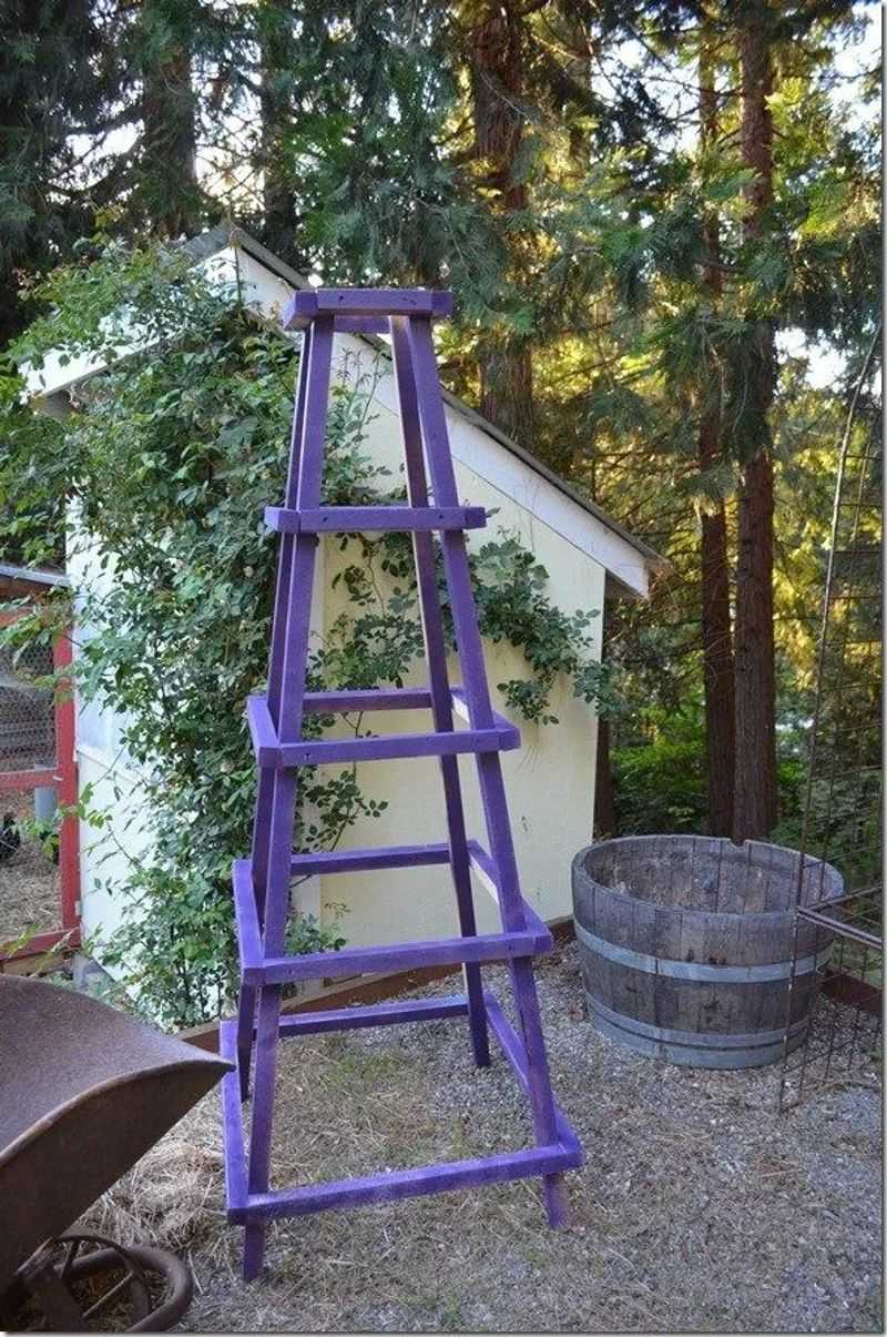 Repurposed Ladder Trellis