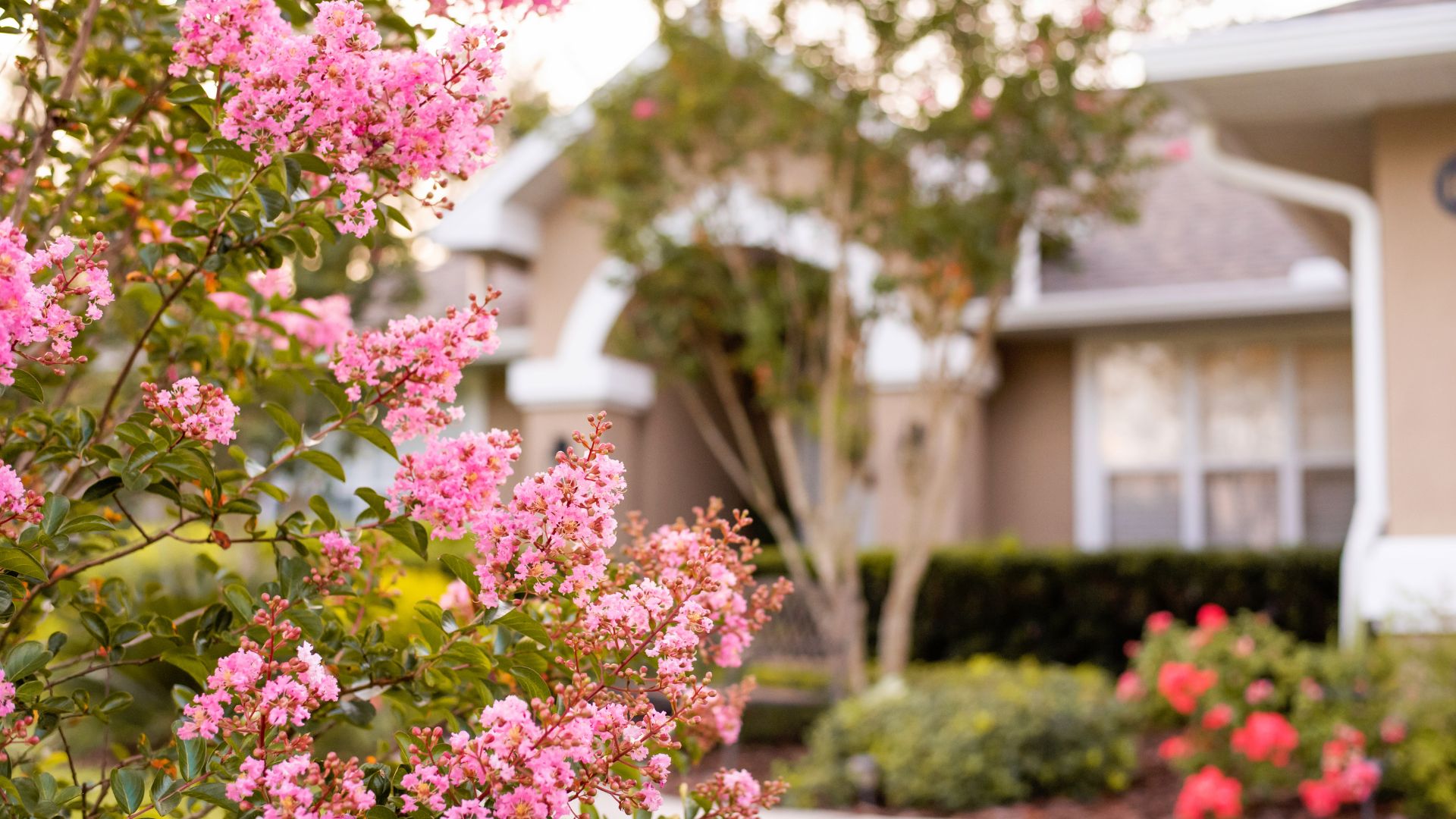 17 Tropical Gardening Secrets For Florida’s Late Summer Heat