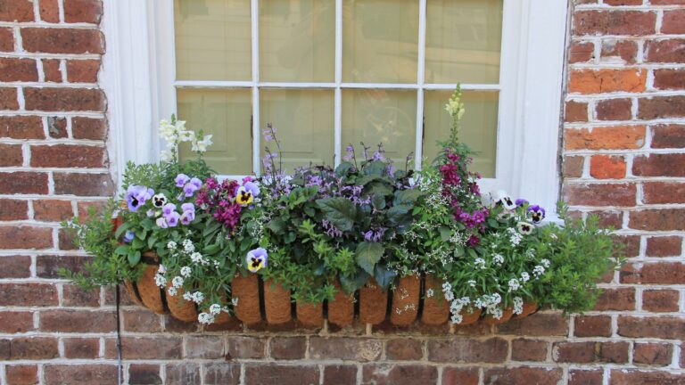 window boxes